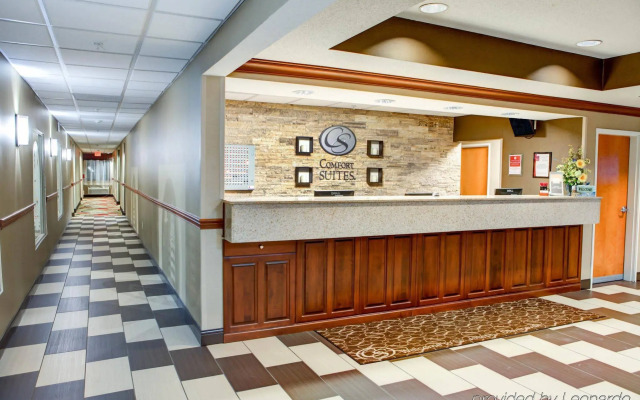 Comfort Suites Stevensville - St. Joseph