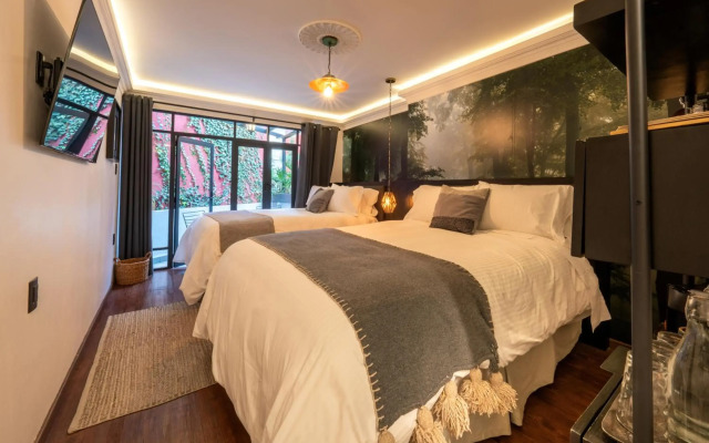 Orchid House Polanco