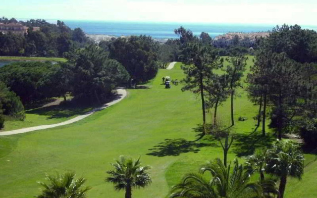 Leo Ipanema