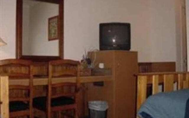 The Bearded Dragon Boutique Hotel