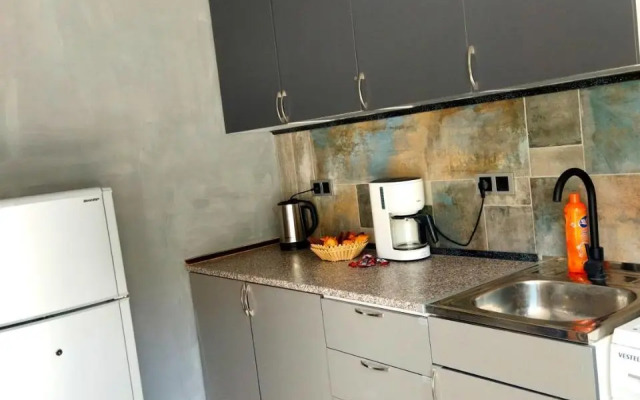 ASINE Guest House