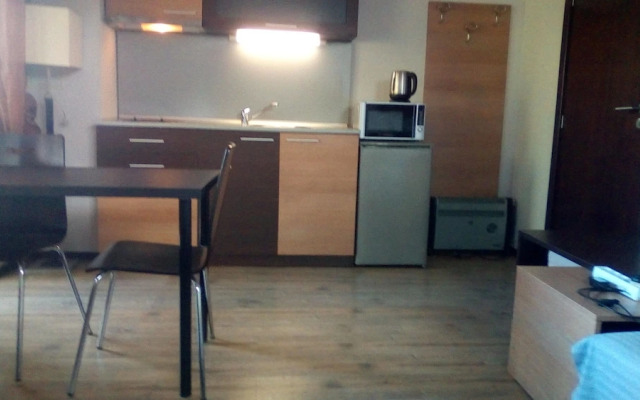 Beautiful 1-bed Apartment Near Bansko