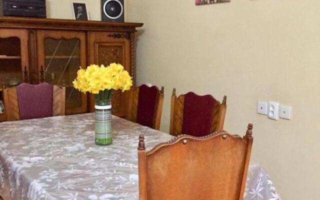 Irina's Apartment