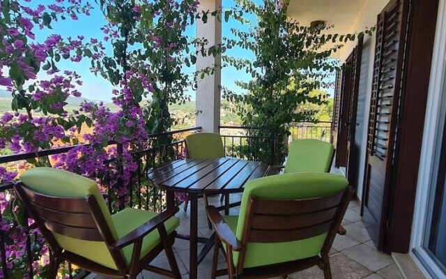 Apartment Mladina