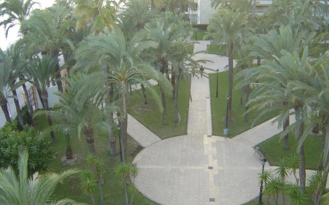Palmeral de Torrevieja