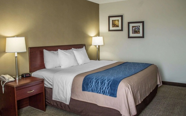 Comfort Inn