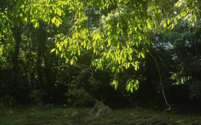 Cairns Homestead: A Peaceful Getaway