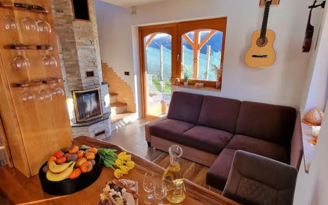 Vineyard cottage Matej