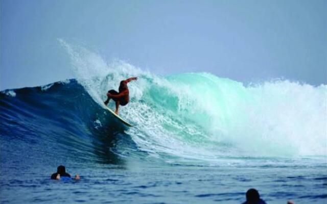 Serene Blue Bowls Surf Inn