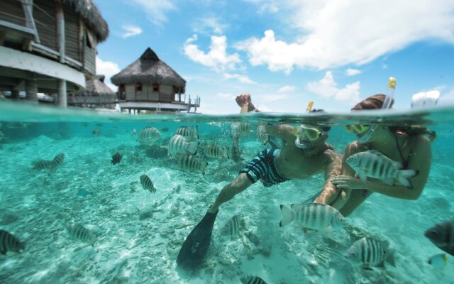 Le Tikehau by Pearl Resorts