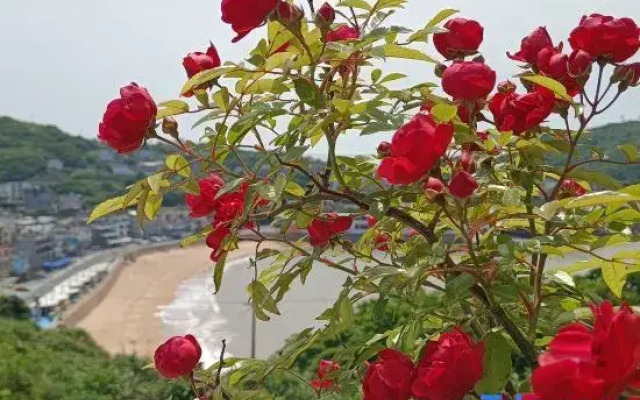 Shengsi 25 degree sea boutique homesta