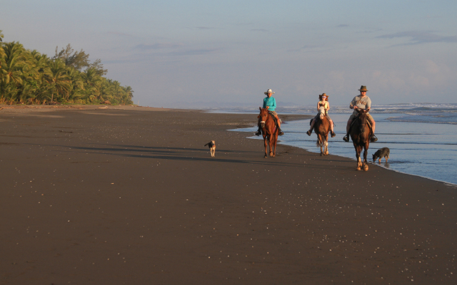 Hotel Playa Bejuco