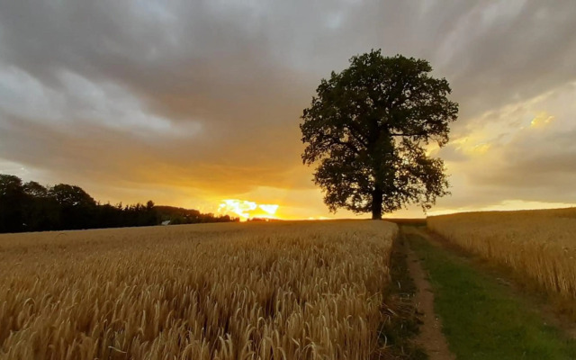 Ferienhaus Andrea Höcherl
