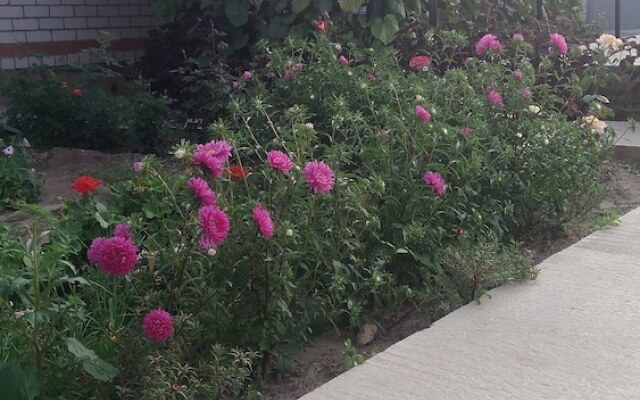 V gostyakh u Baby Poli