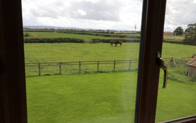 Willow Farmhouse