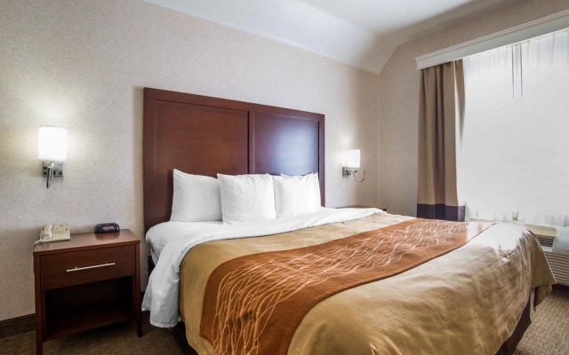 Quality Inn & Suites near NAS Fallon