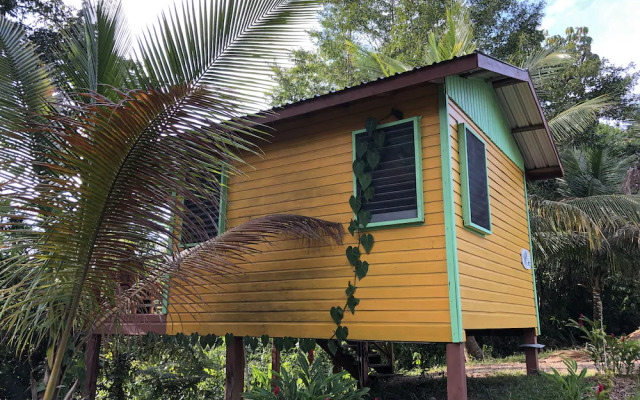 Toucan Ridge Ecology & Education Society T.R.E.E.S.