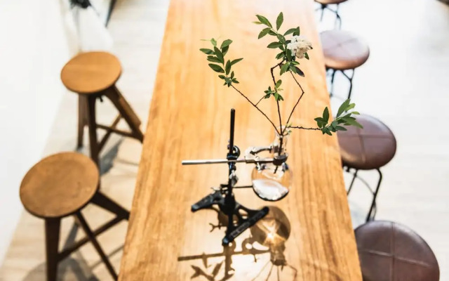 Boy Apartment-Adult only