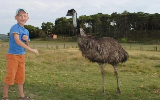 Chambres d'hôtes Domaine Du Bas Chalus