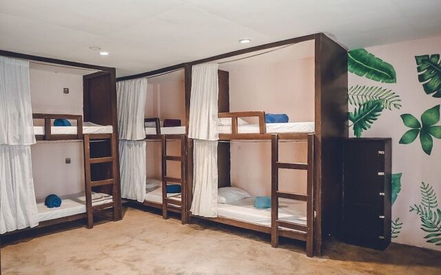 Coco Pod Siargao Hostel