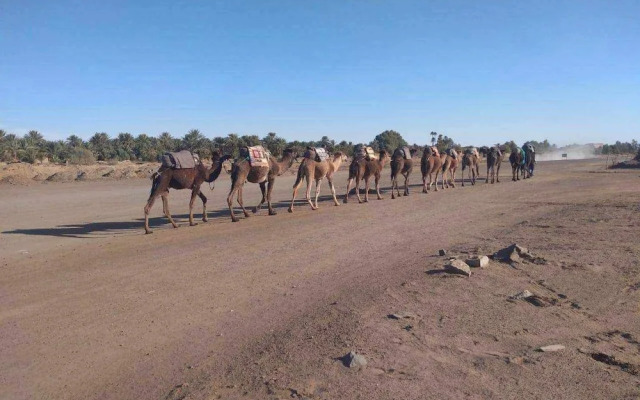 Overnight Camp Merzouga & Camel Tours