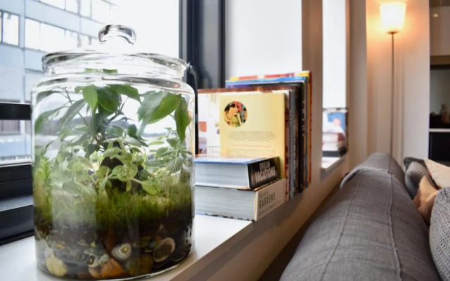 Stylish 1 Bedroom Apartment in Vibrant Potts Point