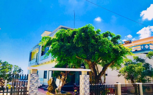 Quang Vinh - Đao Ly Son