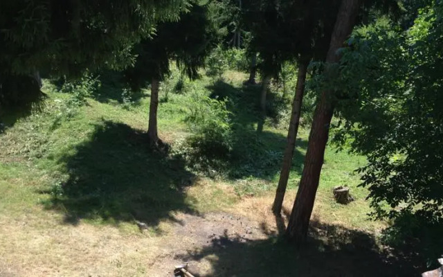 Borjomi Plato Hostel