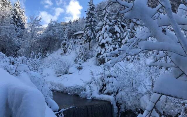 Wildromantisches Appartement am Bachlauf