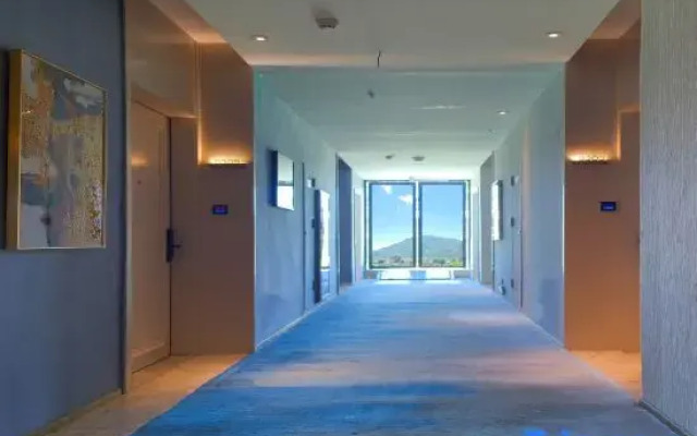 VIP House Hotel (Pinghe store)