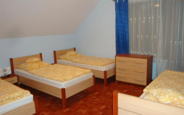 Niezapominajka