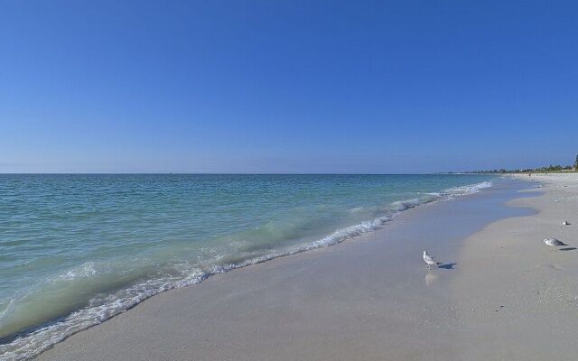 Beachview Delight by Beachside Management