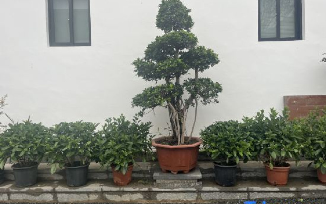 Haichuang Hotel
