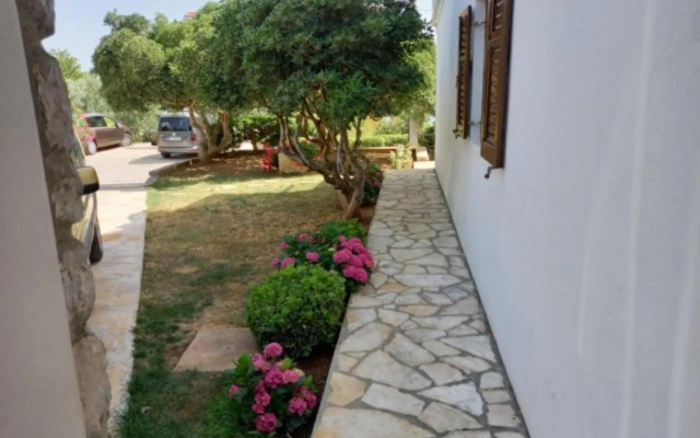 Blazenka - 20m From the sea - A1