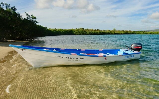 Angel Fish Cove