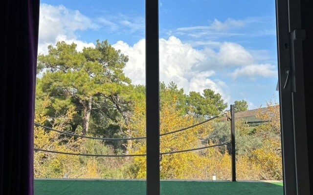 Evergreen Glamping