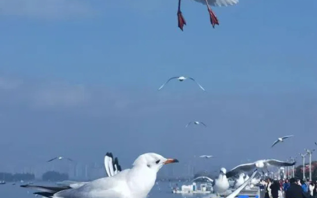 Hongdu Hotel (Kunming South High-speed Railway Station University Town)