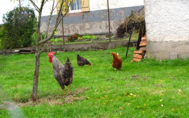 Gîte Granges-Aumontzey-Granges-sur-Vologne, 3 pièces, 4 personnes - FR-1-589-109