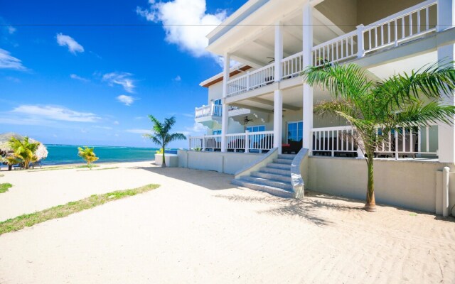 Lawson Rock Seahorse 104