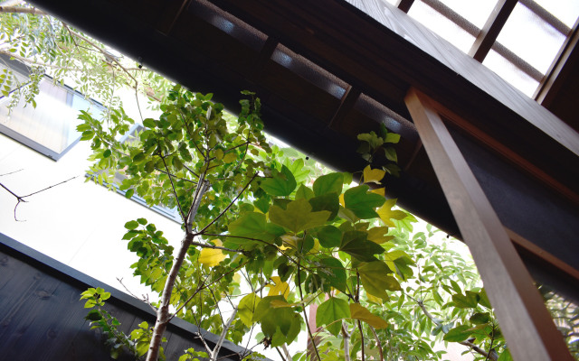 Kyo no Katadomari Shinmichi Ayamean