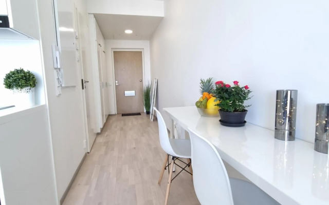 Penthouse in the Oulu center