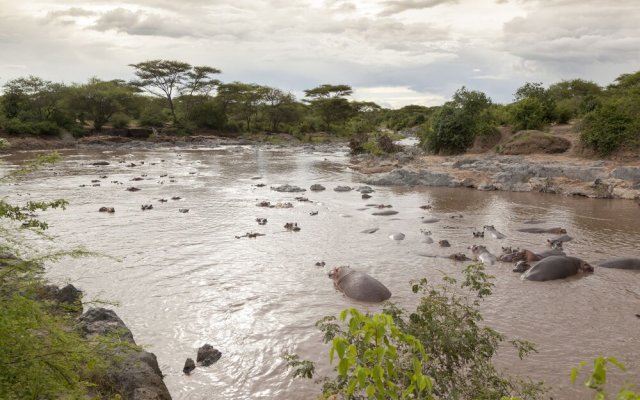 Kananga Special Tented Camp