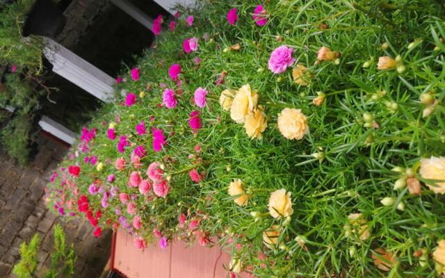 Kanthi Holiday Rest