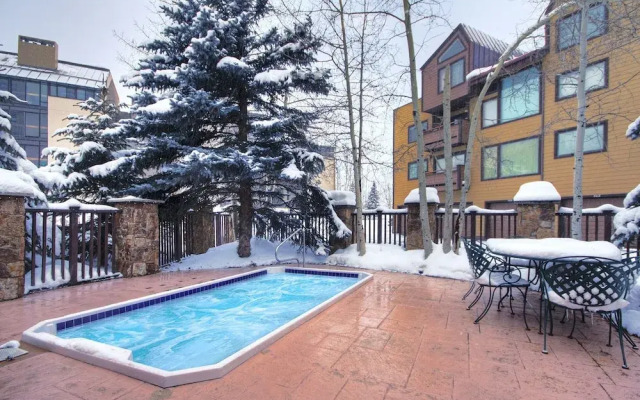 Nice Update Condo - Great Access to Superbee Lift in East Village - AN302 by RedAwning