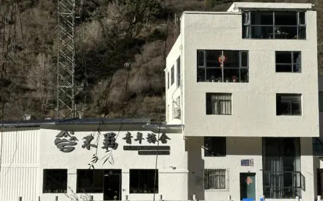 Unrestrained Youth Hostel