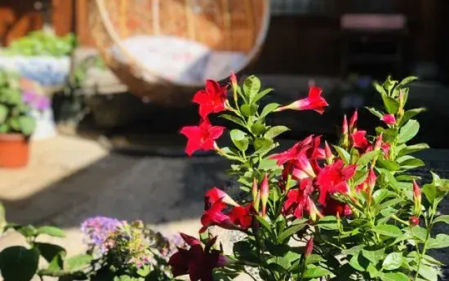 Floral Hotel·Yunjing Zhinan Hotel(Dayan Gucheng dashuiche store)