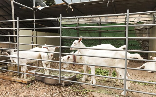 Gapyeong Daegajok Pension