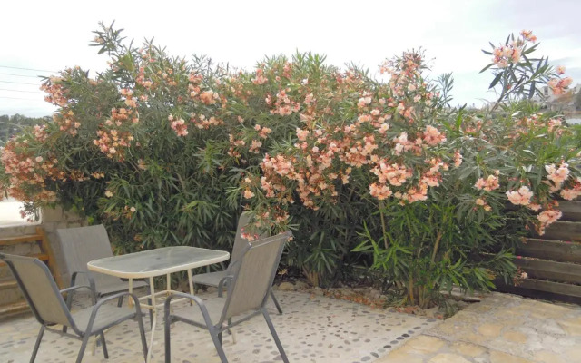 Petaloudes 2