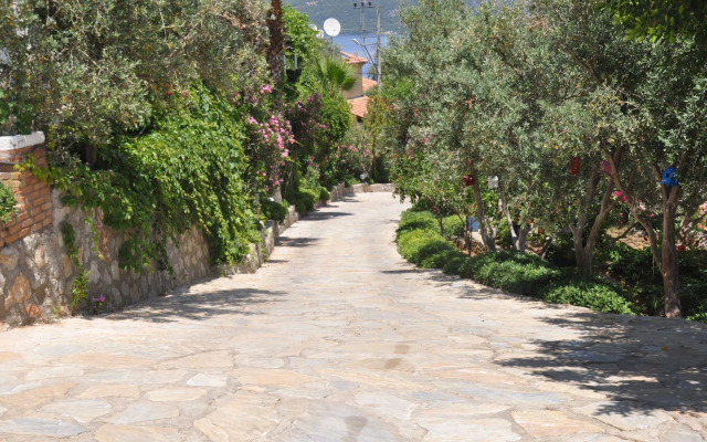 Lacivert Boutique Hotel