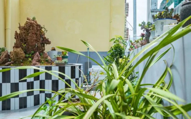 Hanyuan Yufengyuan Homestay